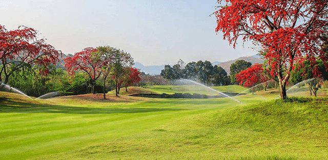 Dragon Hills Golf and Country Club golf course gallery - Golfdigg Thailand