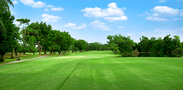 Dynasty Golf & Country Club golf course gallery - Golfdigg Thailand