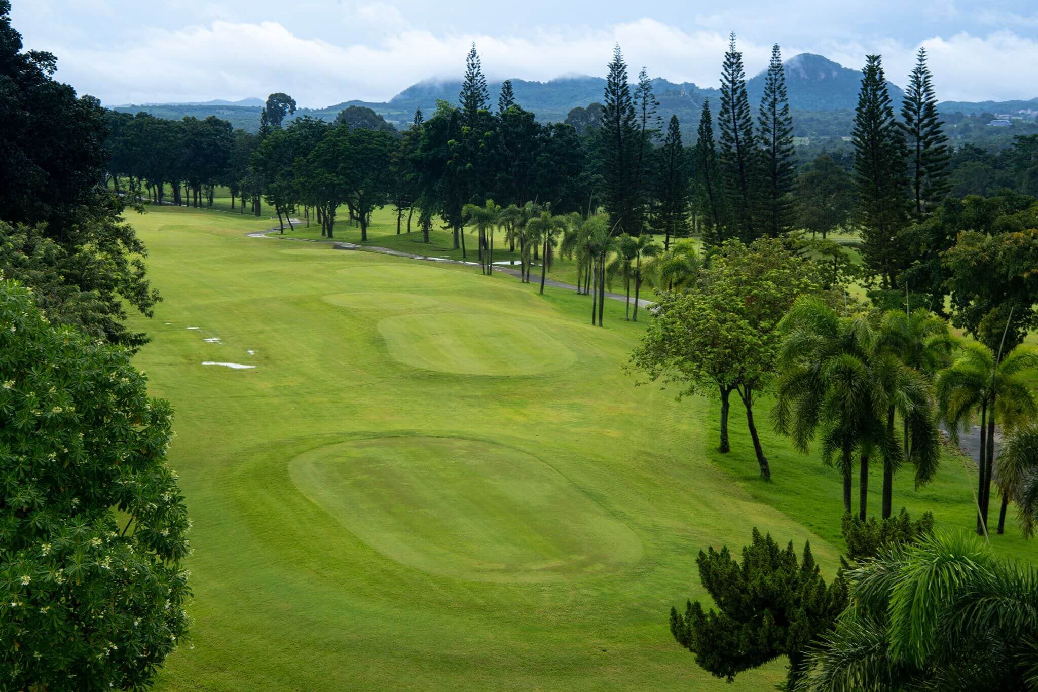 Phoenix Gold Golf And Country Club (Pattaya) fairway and green - golf course Thailand