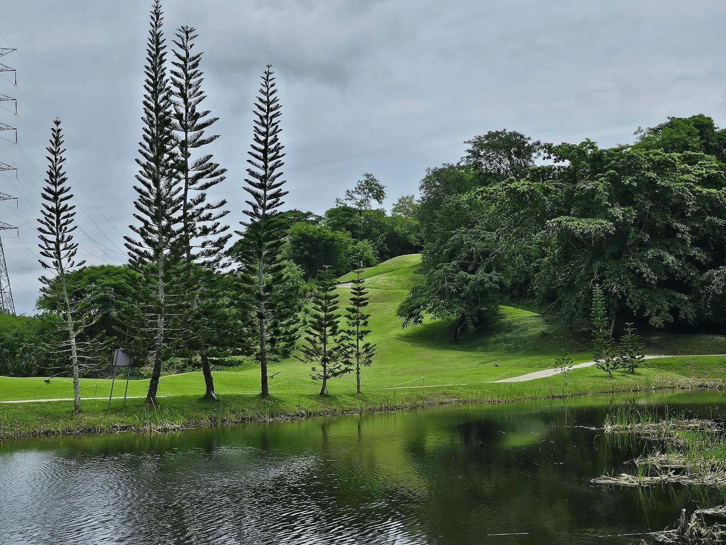 Pakasai Country Club fairway and green - golf course Thailand