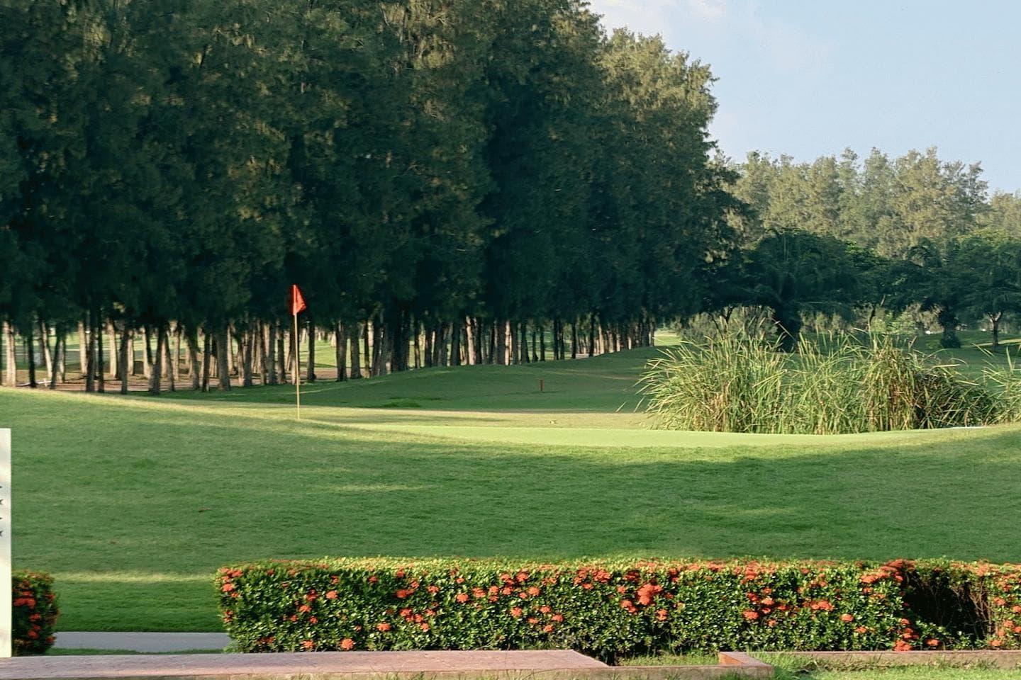 The Pine Golf Club fairway and green - golf course Thailand