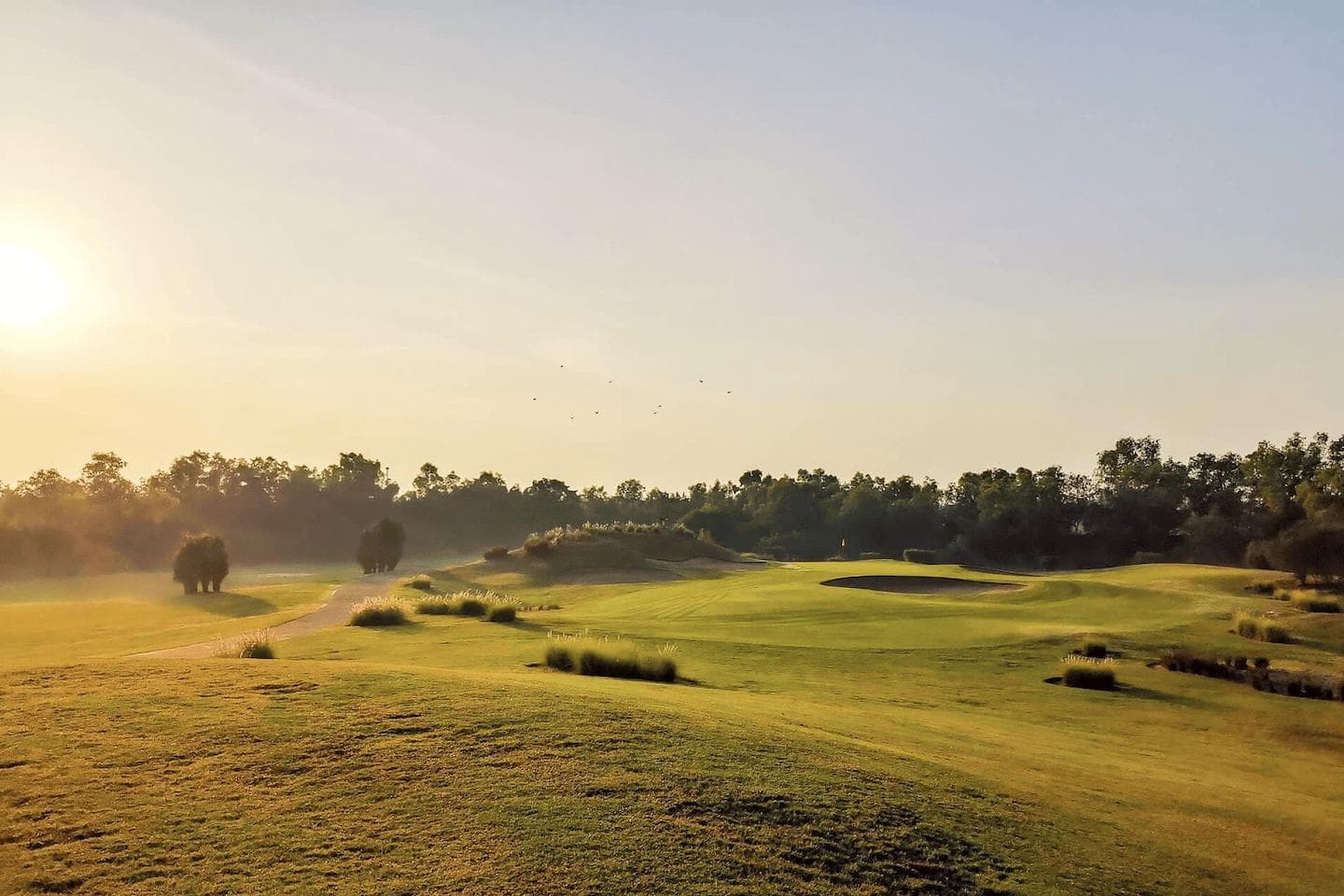 The Rg City Golf Club course scenery - book golf tee time Thailand