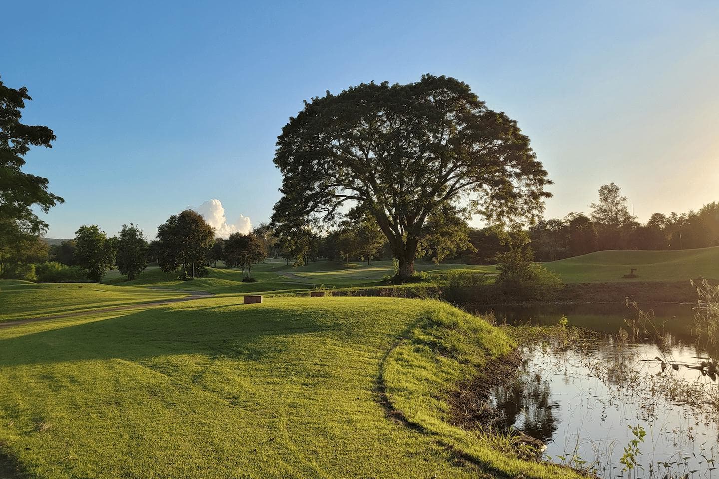 Mountain Creek Golf Resort And Residence