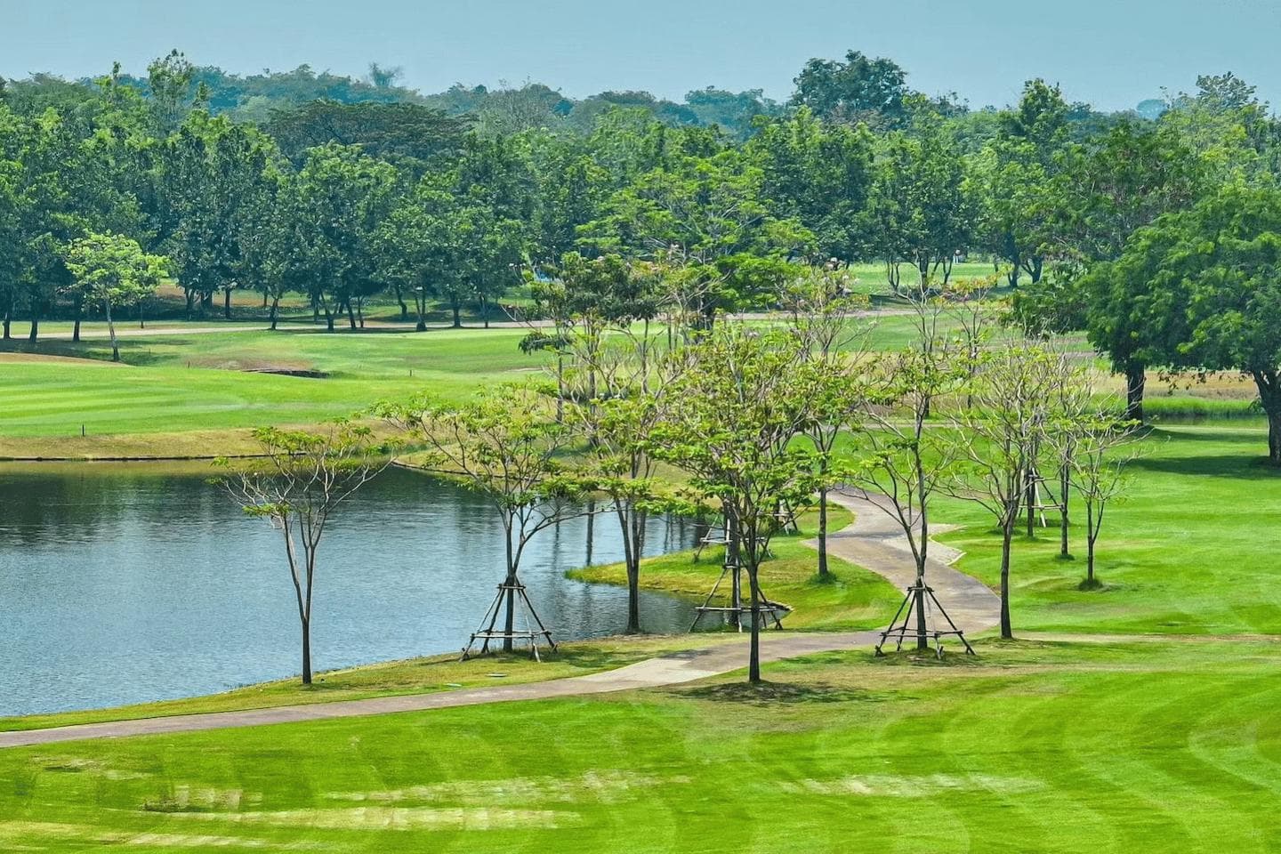 Kabinburi Sport Club fairway and green - golf course Thailand