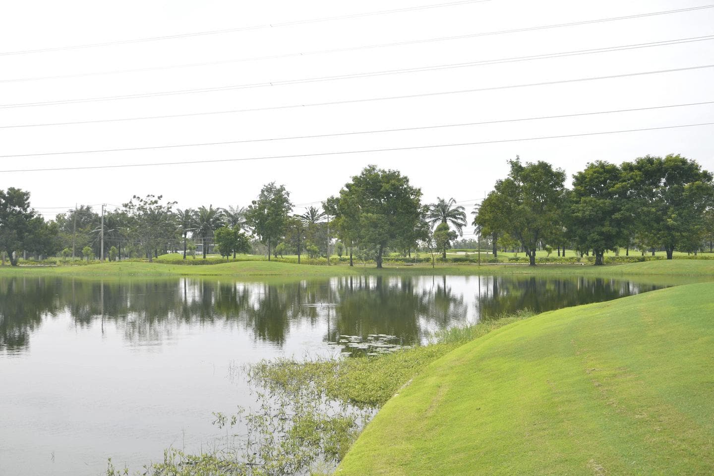 Thanya Golf Club fairway and green - golf course Thailand