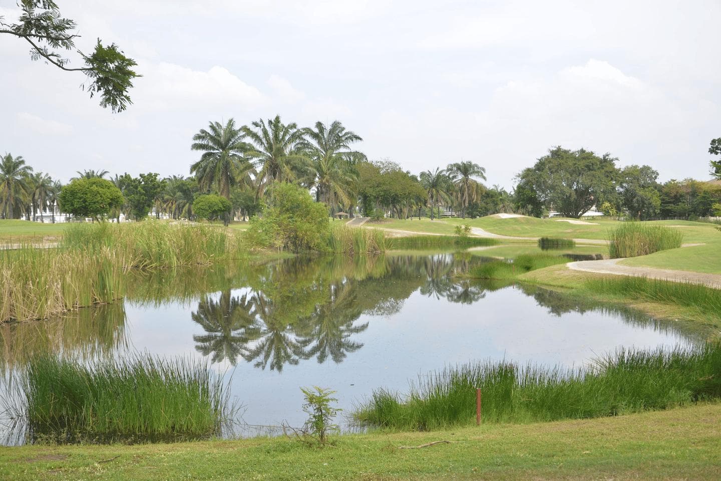 Thanya Golf Club course scenery - book golf tee time Thailand
