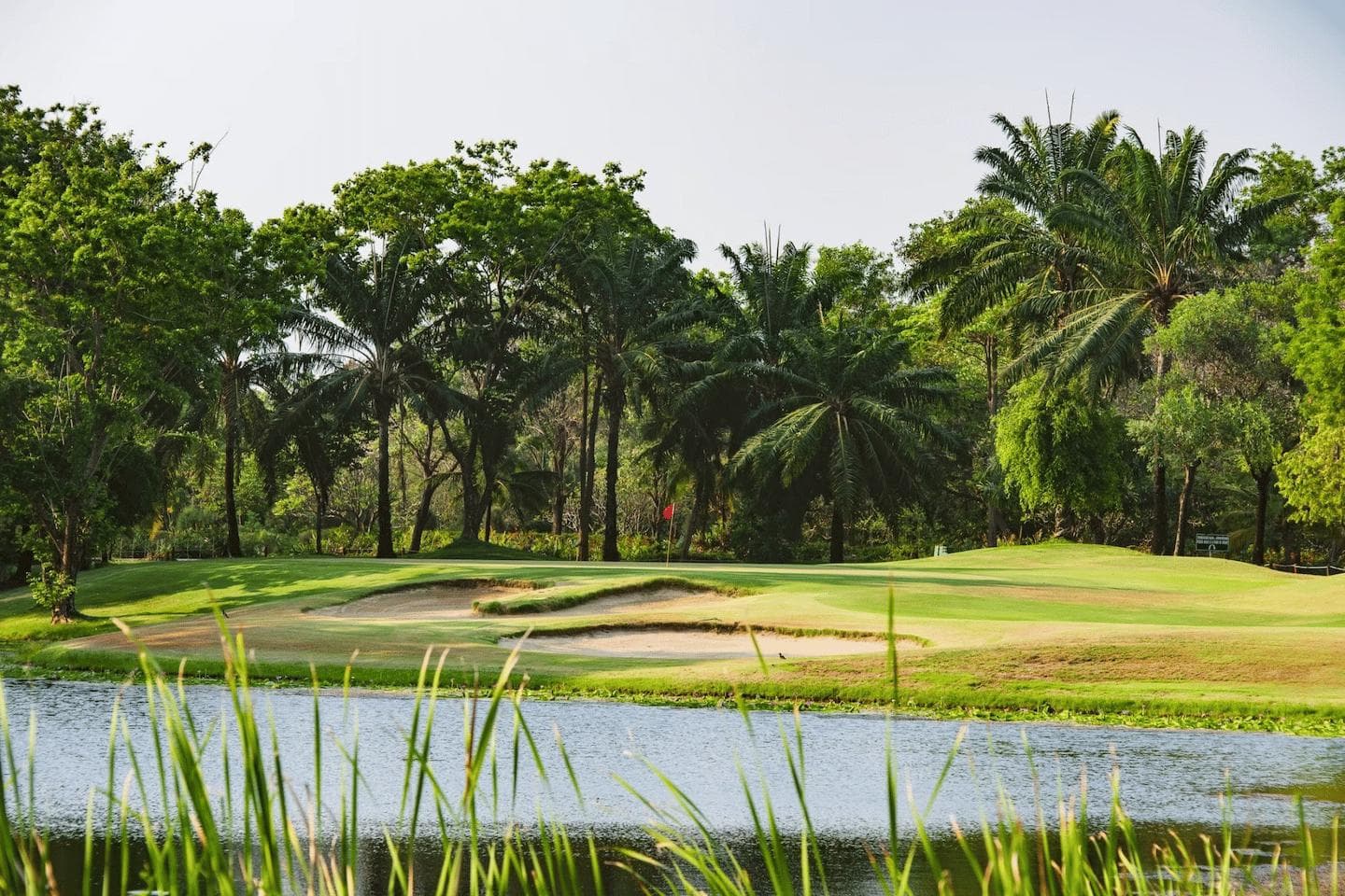 Dynasty Golf & Country Club fairway and green - golf course Thailand