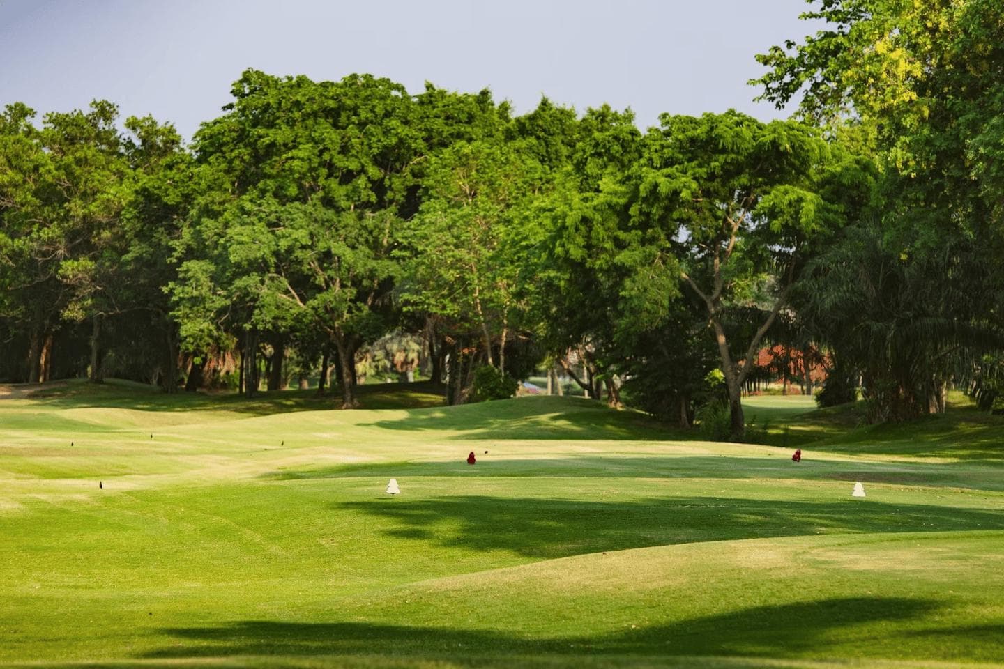 Dynasty Golf & Country Club course scenery - book golf tee time Thailand