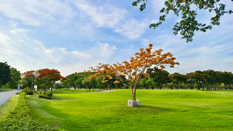 Royal Thai Army Golf Course course scenery - book golf tee time Thailand