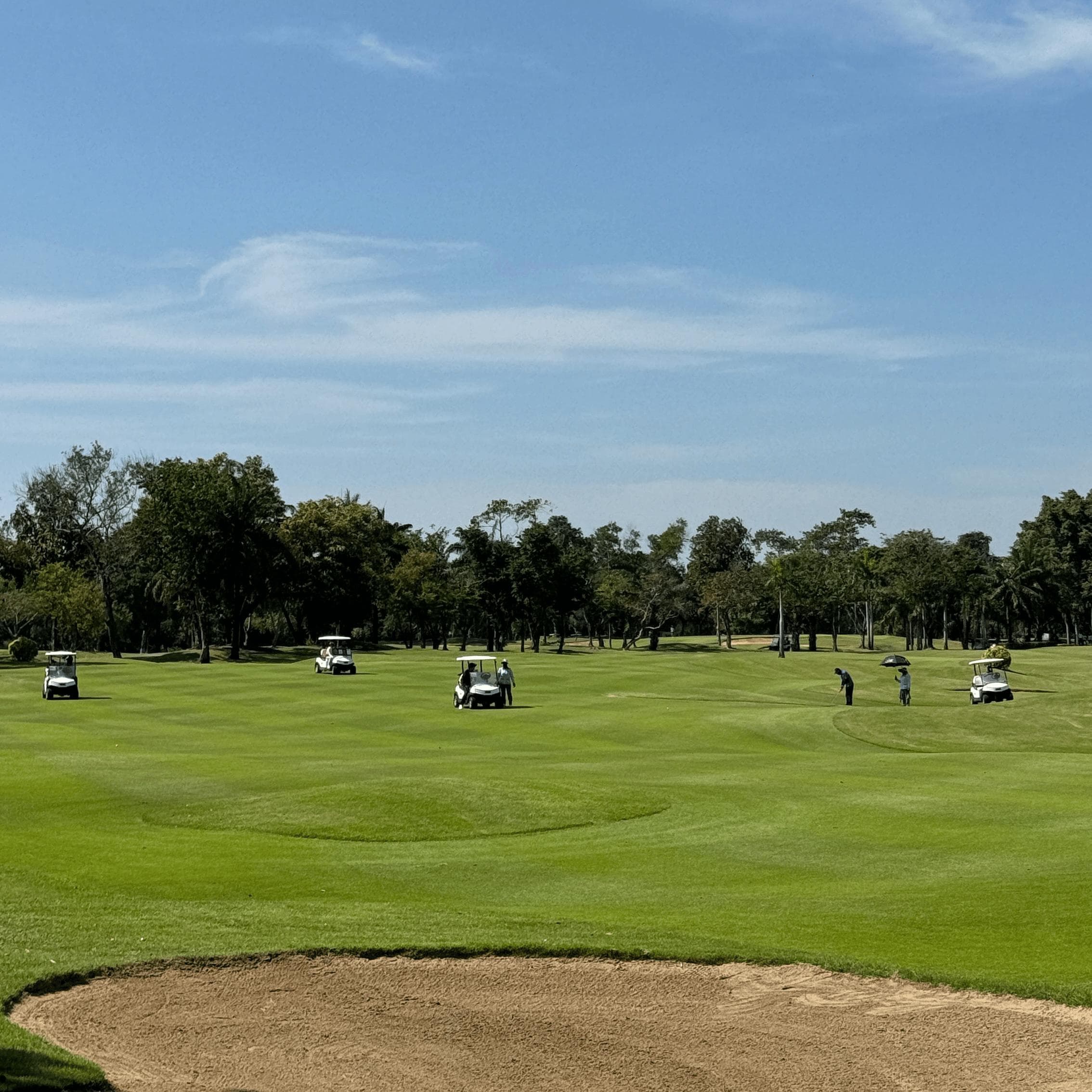Golfer reviews for courseName