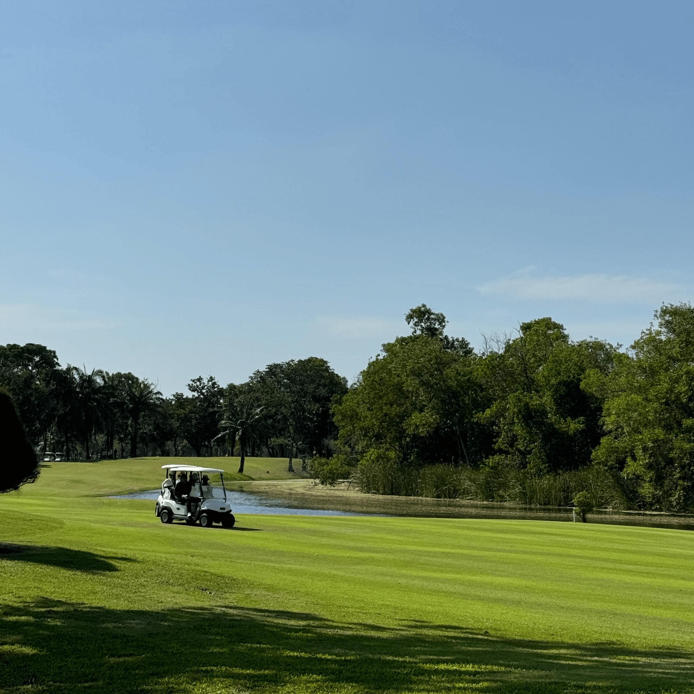 Golfer reviews for courseName