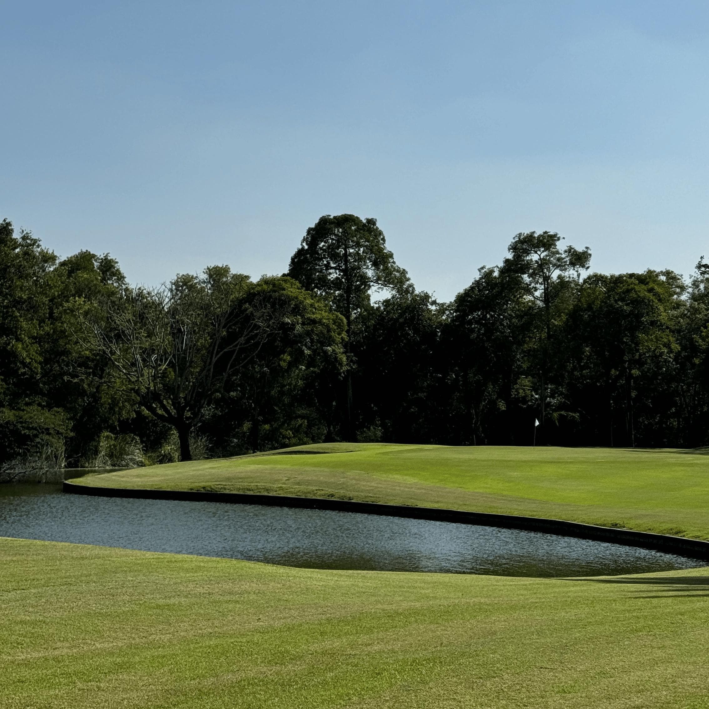 Golfer reviews for courseName