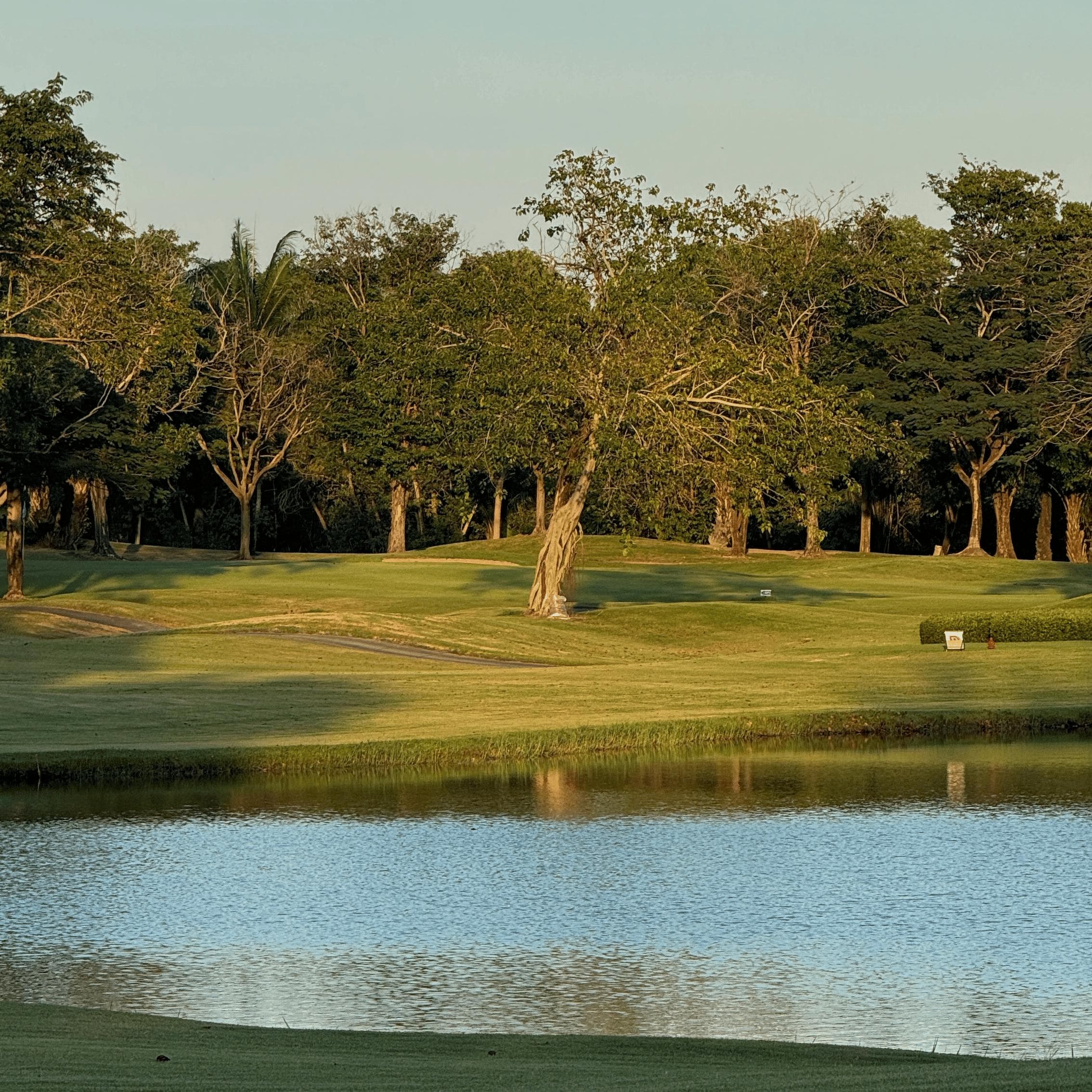 Golfer reviews for courseName