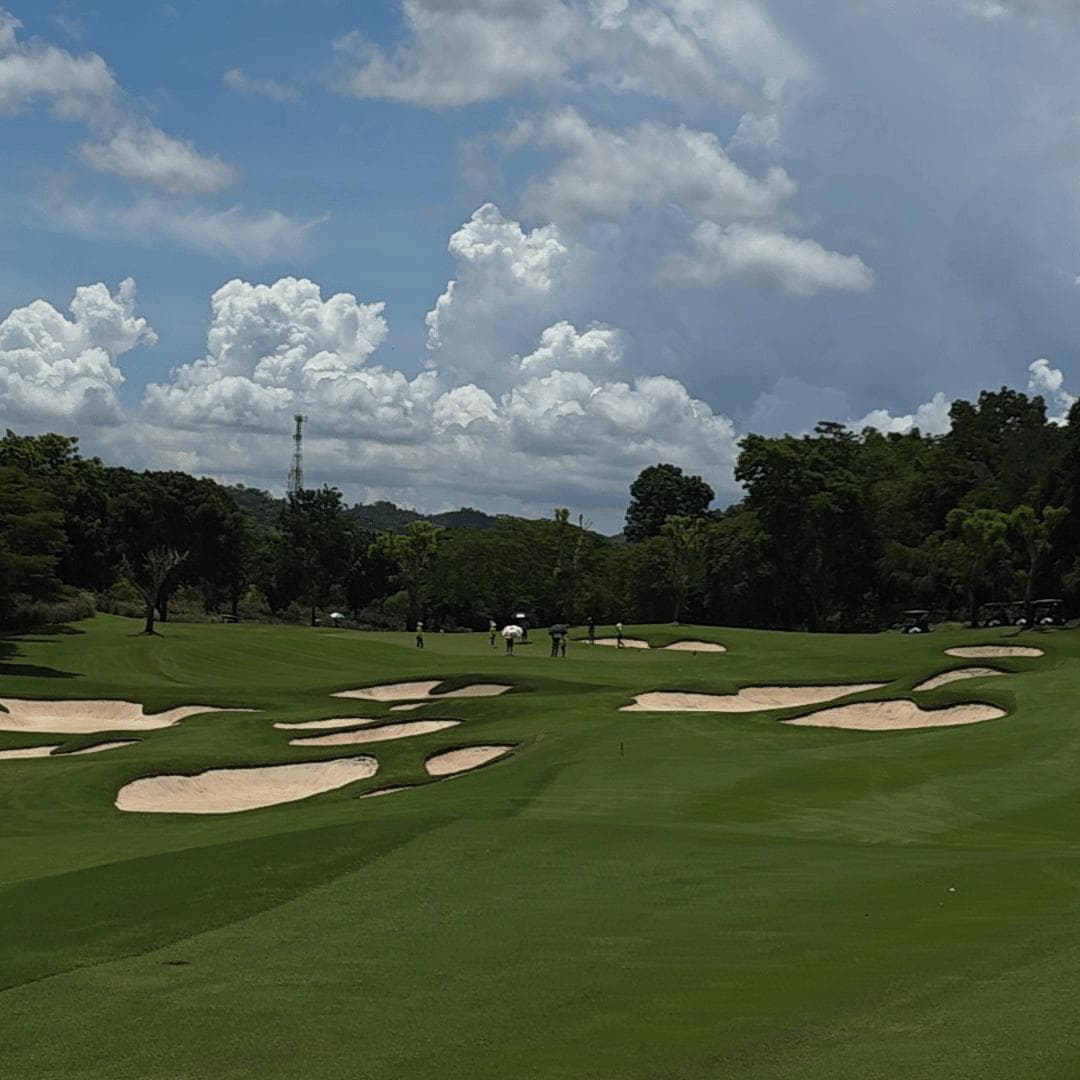 Golfer reviews for courseName