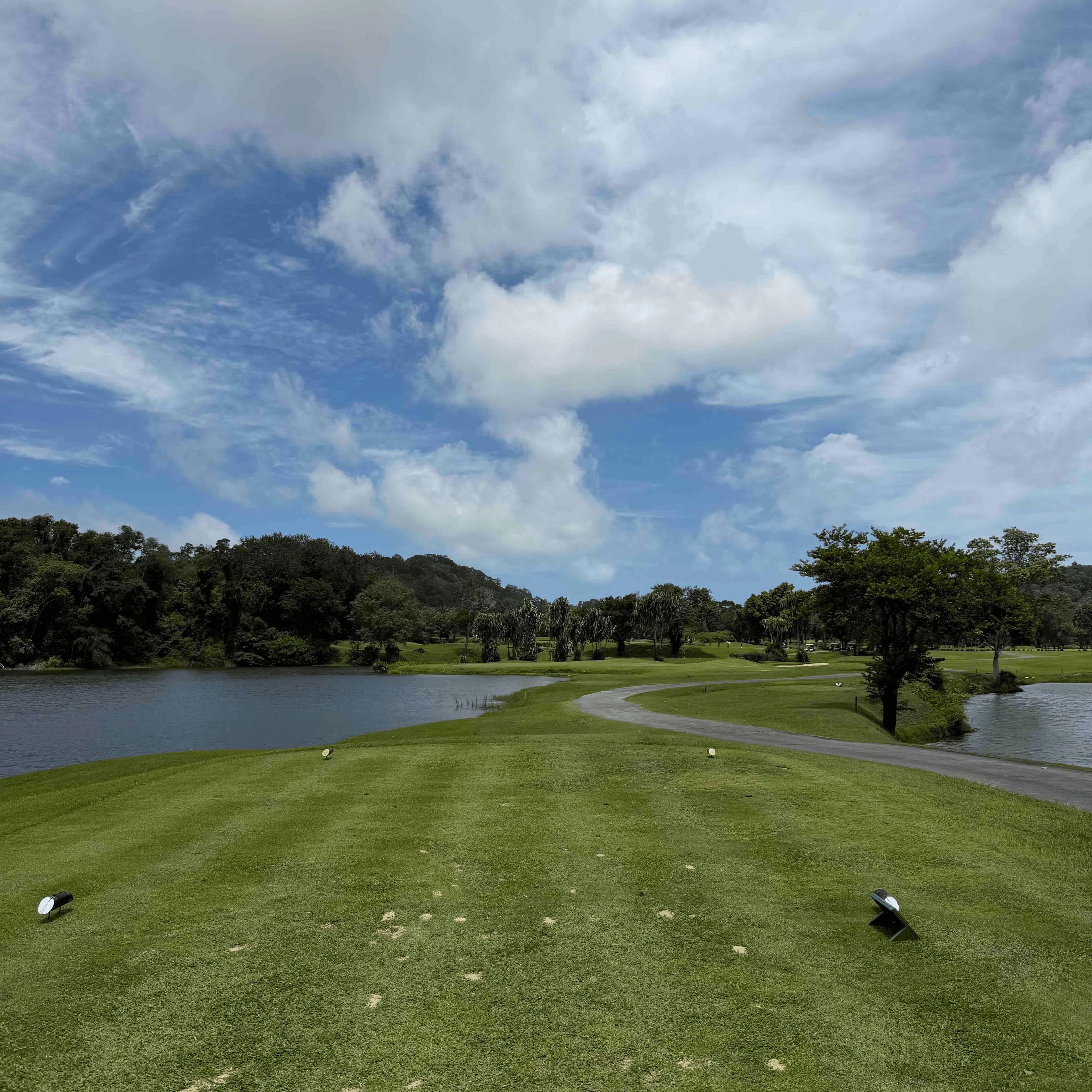Golfer reviews for courseName