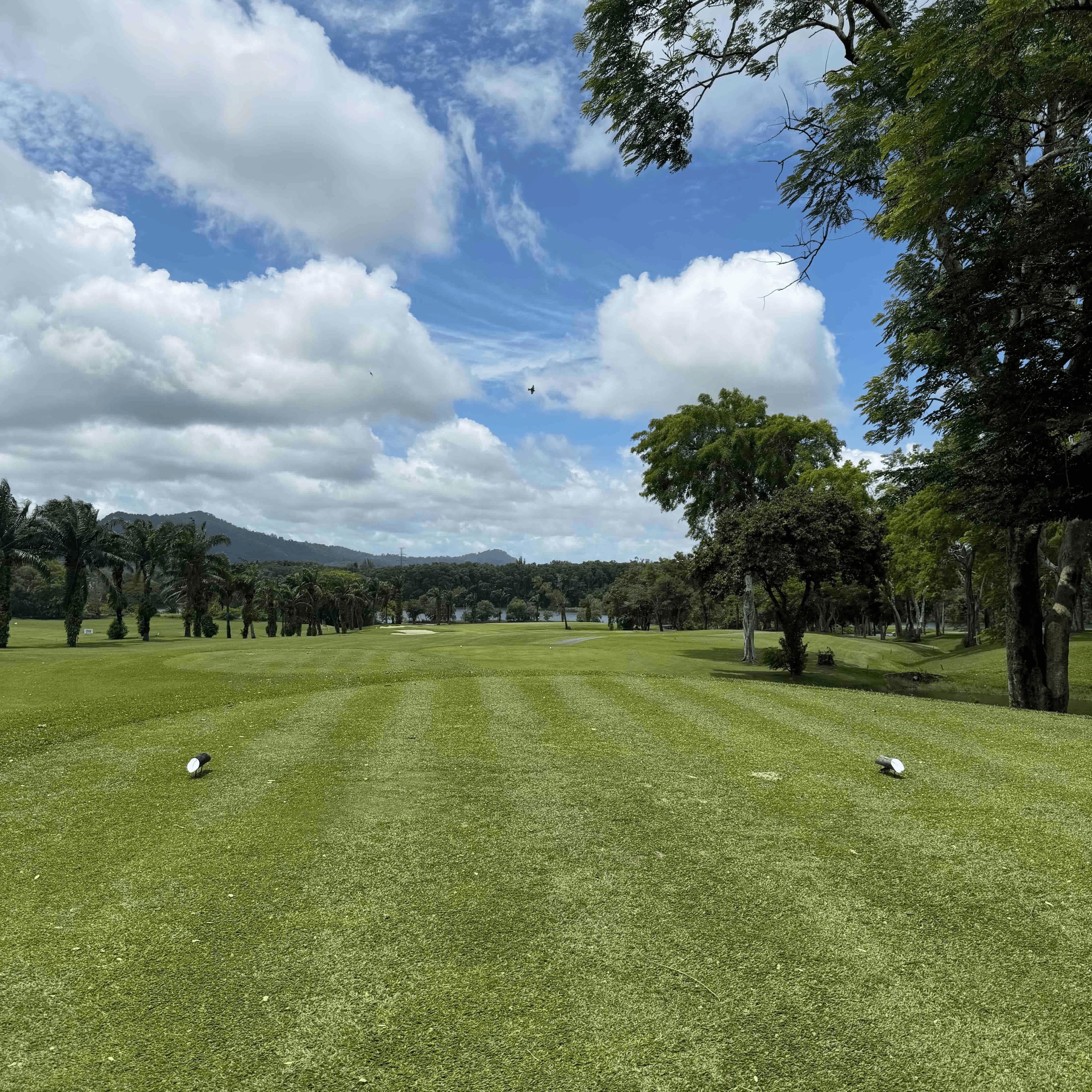 Golfer reviews for courseName