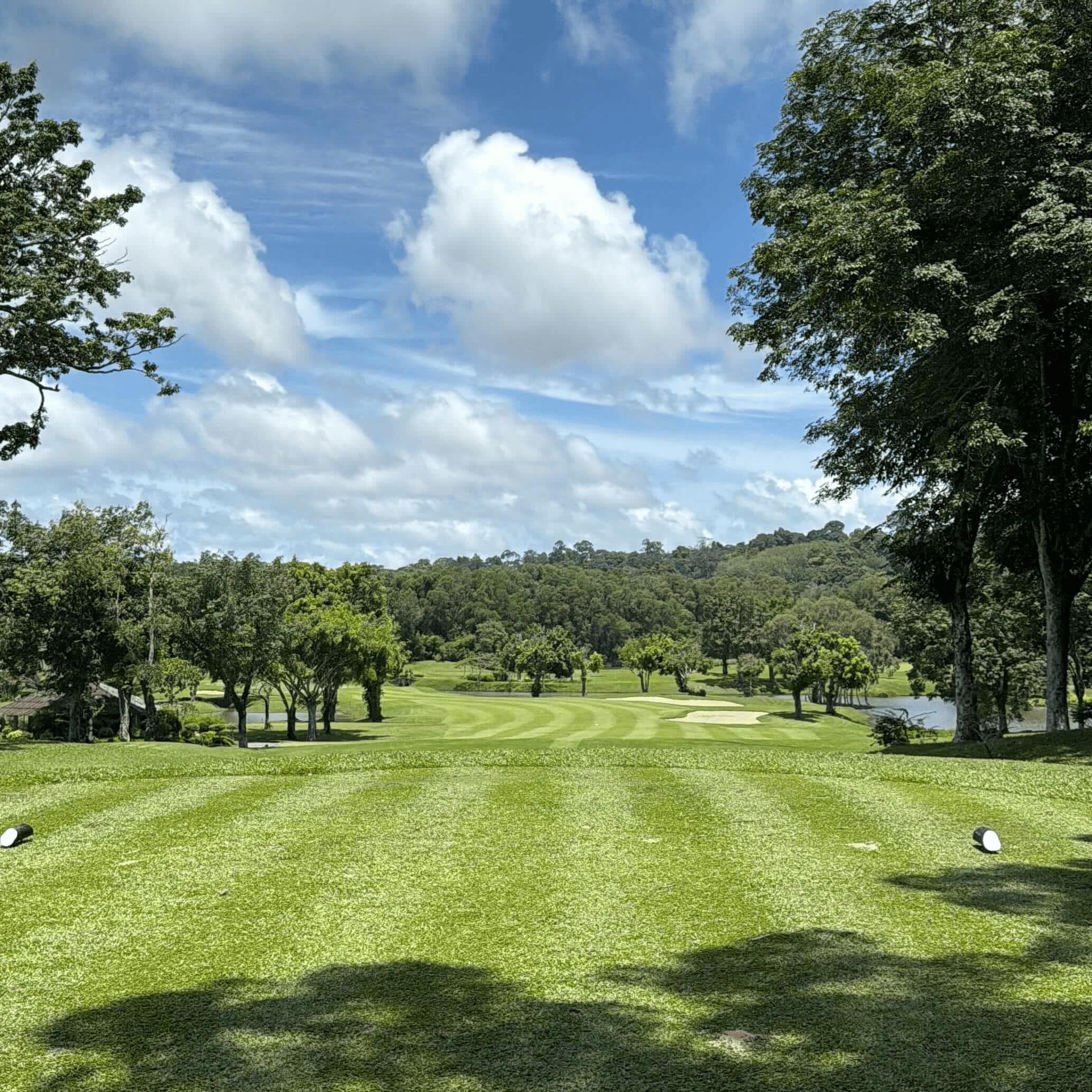 Golfer reviews for courseName
