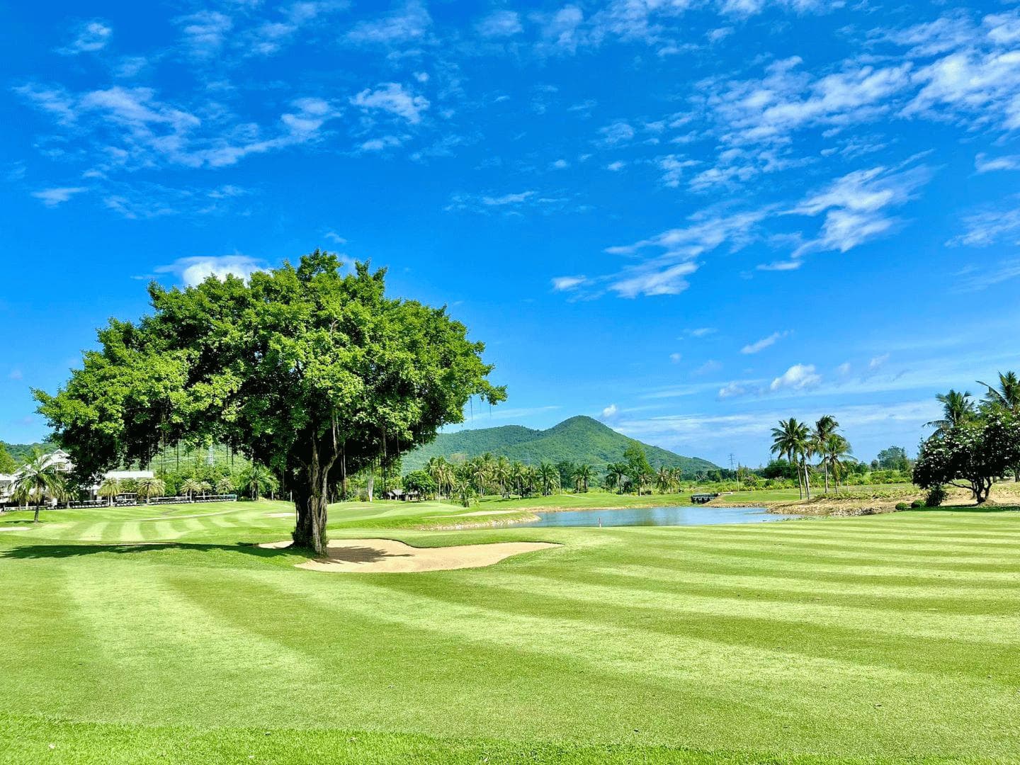 The Majestic Creek Country Club course scenery - book golf tee time Thailand