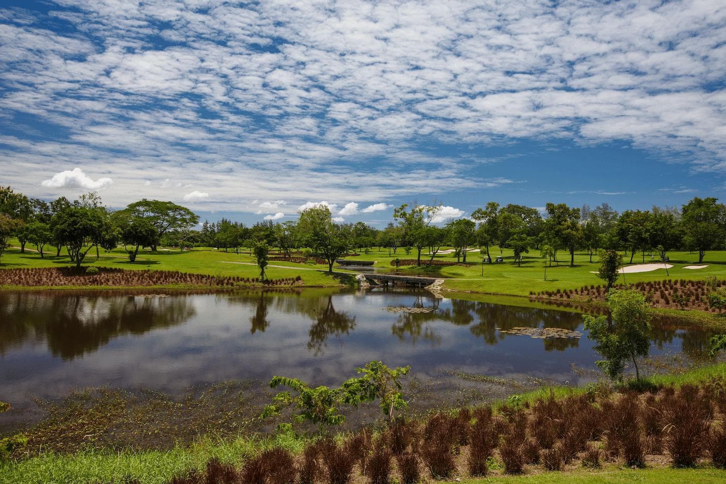 Siam Country Club Old Course fairway and green - golf course Thailand