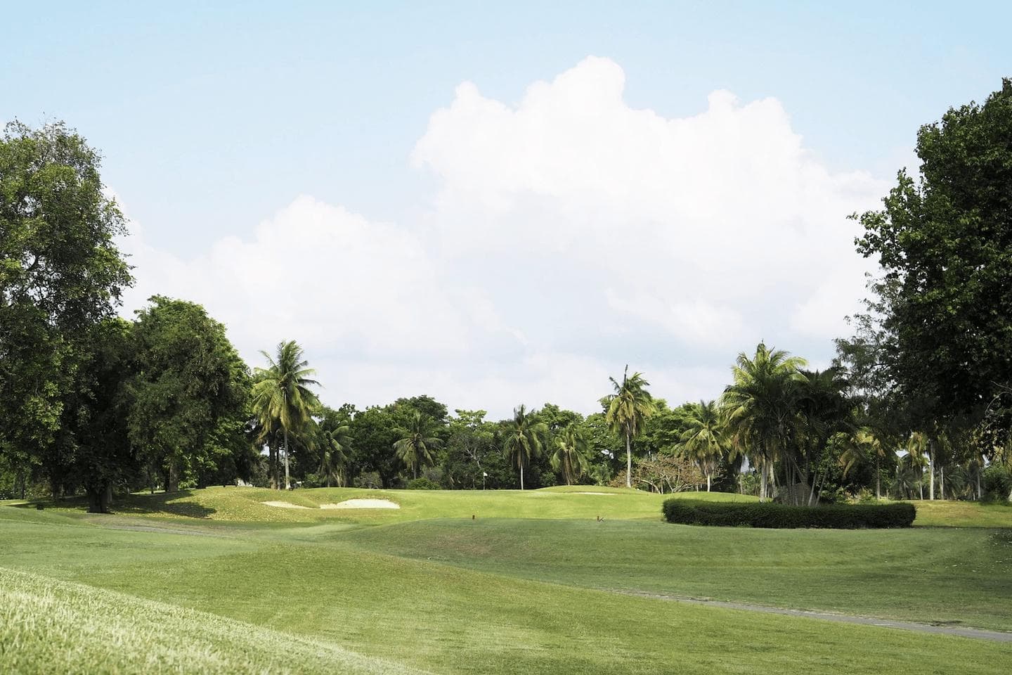 Eastern Star Country Club fairway and green - golf course Thailand