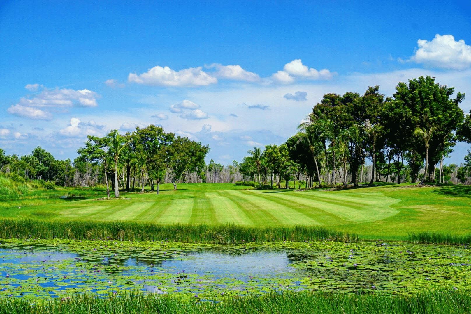 The Wangnoi golf course gallery - Golfdigg Thailand
