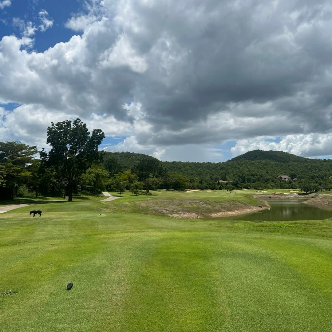 Golfer reviews for courseName