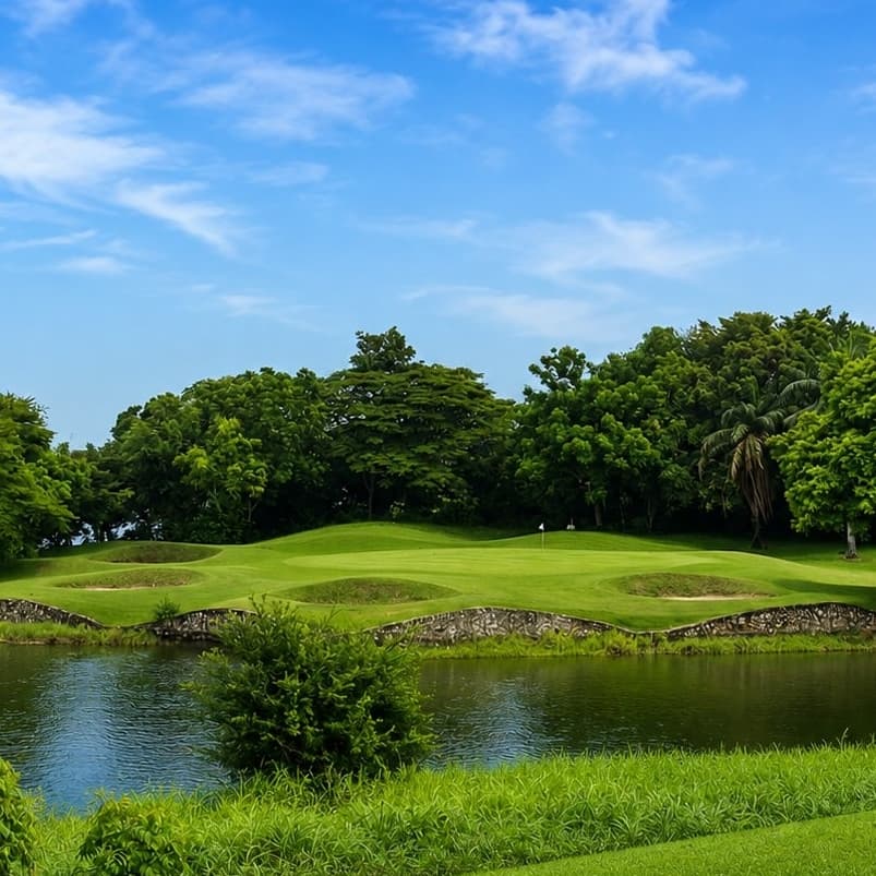 Golfer reviews for courseName