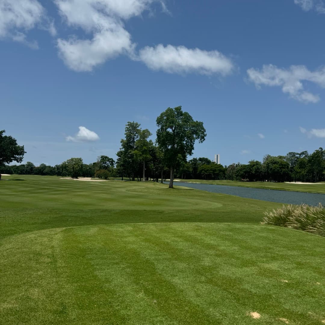 Golfer reviews for courseName