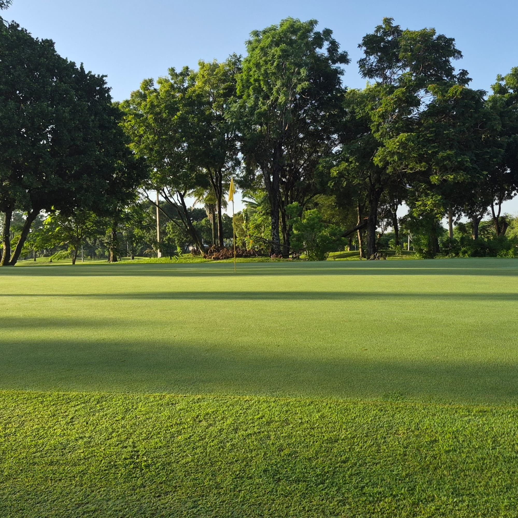 Golfer reviews for courseName