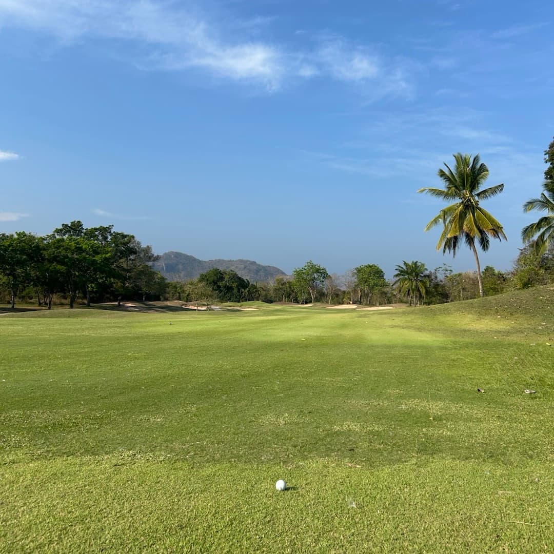 Golfer reviews for courseName